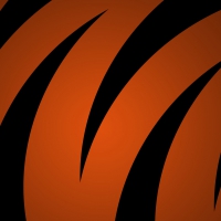 TIGER STRIPES