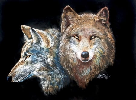 Wolves in Art - head, starrng, predator, artwork, eyes, portrait