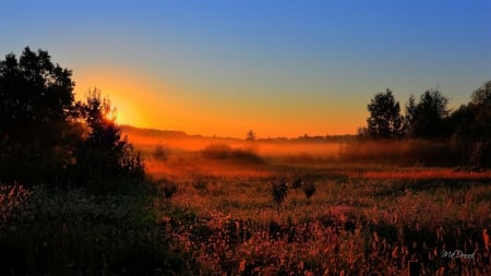 Early Sunday Morning - fall, pasture, sun, country, farm, sky, field, fog, mist, sunrise, autumn