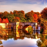 Beautiful Bridge in Autumn Forest