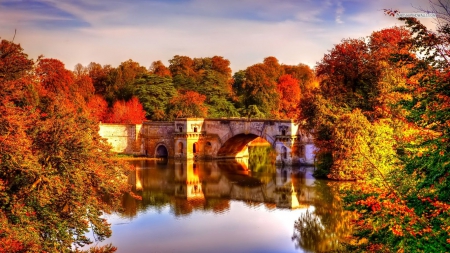 Beautiful Bridge in Autumn Forest - forests, bridges, architecture, autumn