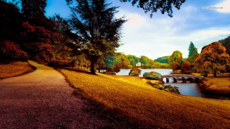 Path in Autumn Forest - nature, autumn, forests, path