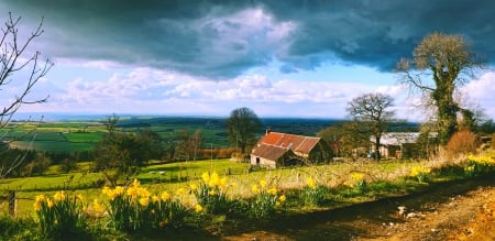 Springtime In North Yorkshire - sheep, valley, beautiful, flowers, green grass, sky, clouds, fields, house, trees