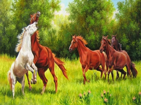 Beautiful horses - horses, green, brown, beautiful