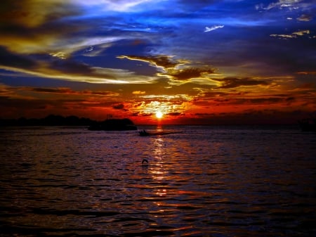 A DUSK to VIEW - bird, horizon, natuire, sunset, boat, sea, sky