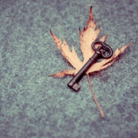 Autumn's Key