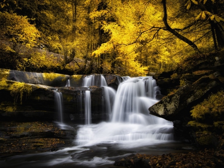 Waterfall in Fall Season - leaves, nature, waterfall, fall season