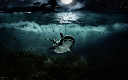 Undersea - moon, digitalart, fullmoon, dolphin, sea, island, ocean, stars, nightsky, moonlight, underwater, twilight