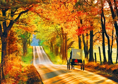 Fall splendor - trees, cart, beautiful, splendor, road, colors, leaves, fall, nature, autumn, painting, art, foliage, rural