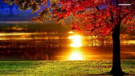 Autumn Sunset Reflecting off Lake - lakes, nature, autumn, trees, sunsets