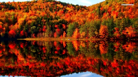 Beautiful Autumn Lake Reflection - reflections, forests, nature, autumn, lakes