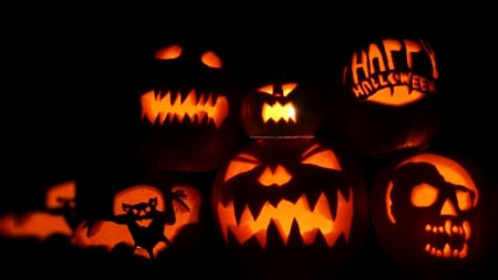 Halloween Jack-O-Lanterns - halloween, pumpkins, bat, jack-o-lanterns