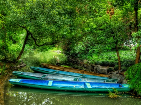 Forest - boats, Forest, trees, green