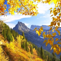 Golden Overlook, Glacier Park Montana