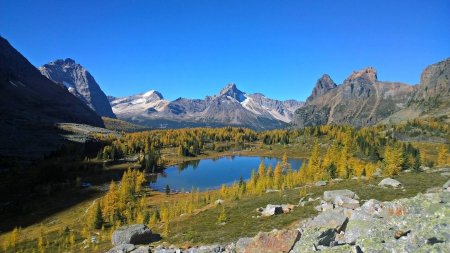 Yoho National Park - nature, fun, lake, cool, mountain, forest