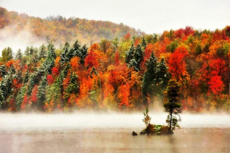 Fall Snow Storm - fall, trees, river, snow, fog, vermont