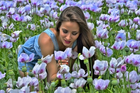 * Field of flowers * - flowers, field, flower, nature