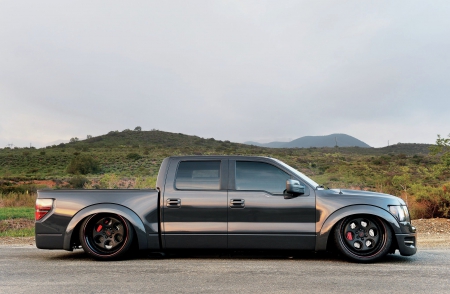 2014-Ford-F-150 - Truck, 2014, Lowered, 4door