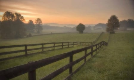 Farm on a Misty morn - farm, misty, country, sunshine