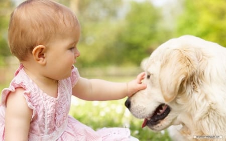 forever lasting friendship - child, pet, childhood, dog