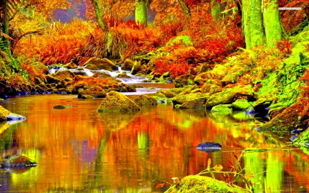 BEAUTIFUL GOLDEN STREAM in the FOREST - streams, autumn, trees, landscape, mountains, rocks, nature, forest, wild, splendor, golden colors of nature