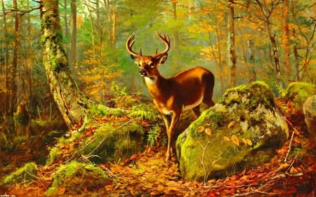 Autumn deer - autumn, deer, foliage, serenity, painting, art, fall, forest, calmness, beautiful, leaves, animal, stones