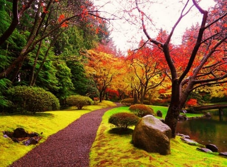 Autumn park - trees, pond, beautiful, grass, colors, alleys, leaves, calmness, fall, nature, autumn, serenity, foliage, park