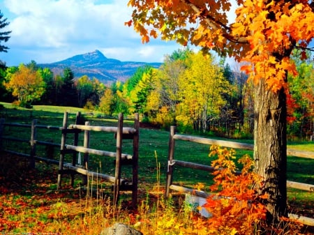 Autumn nature - trees, hills, beautiful, fence, leaves, mountain, fall, nature, autumn, foliage, sky