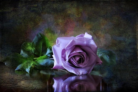 To you with love - love, gift, rose, with, violet