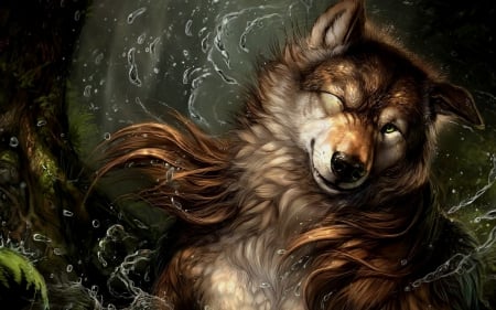 After a good bath - fantasy, animal, water, wolf, drops, art