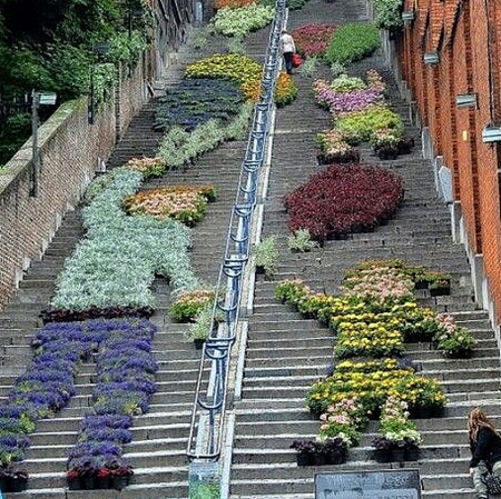 Beautiful stairs - stairs, flowers, beautiful, long