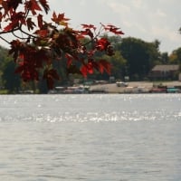 Autumn by the lake