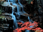 Autumn Waterfall