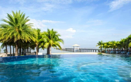 Swimming Pool - sky, trees, pool, water