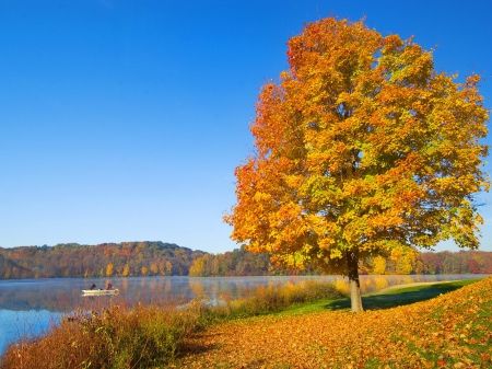 Fall Serenity, Hocking Hills, Ohio - lake, landscape, trees, colors, autumn