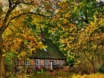 House and Autumn