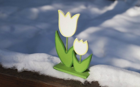 Tulips in Snow Field - snow, craft, style, tulips