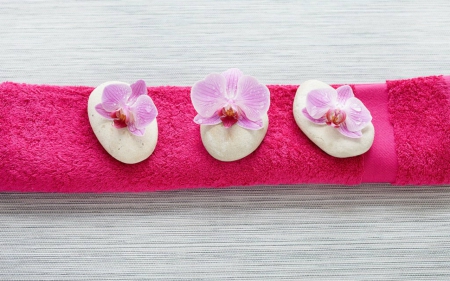 Stones and Flowers - orchids, towel, spa, stones