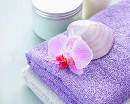 Orchid - orchid, shell, towel, spa