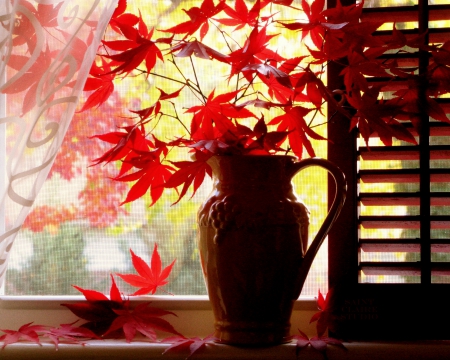 Autumn Still Life - vase, pitcher, Autumn, Fall, window, shutter, leaves