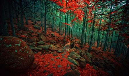 Ethereal Autumn - trees, beautiful, forest, leaves, mountain, stones, wooden bridge, path, autumn