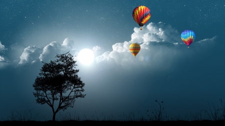 Hot Air Balloons - hot air, balloons, sky, trees