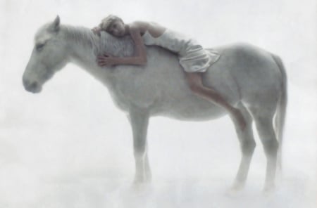 Gentle Love 1 - wide screen, horse, animal, photo, photography, love, passion, equine