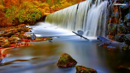 Autumn Forest Waterfall - forests, waterfalls, nature, autumn