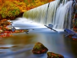 Autumn Forest Waterfall