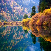 Autumn Reflection