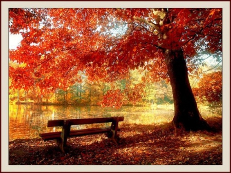 Autumn - Colours, Season, Autumn, Colourful