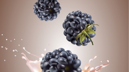 Blackberries - blackberries, milk, graphics, fruit