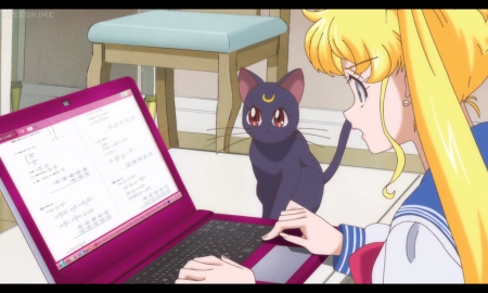 Maths Screen - pretty, anime, female, usagi tsukino, tsukino, blonde, blond hair, laptop, long hair, desktop, sailor moon, kitten, blond, nice, luna, tsukino usagi, anime girl, sailormoon, beautiful, usagi, girl, blonde hair, beauty, lovely, sweet, cat, kitty