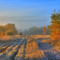 Autumn Frost